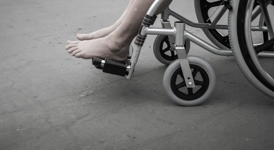 Bilimsel Entegrasyon ve Bütüncül Bakım